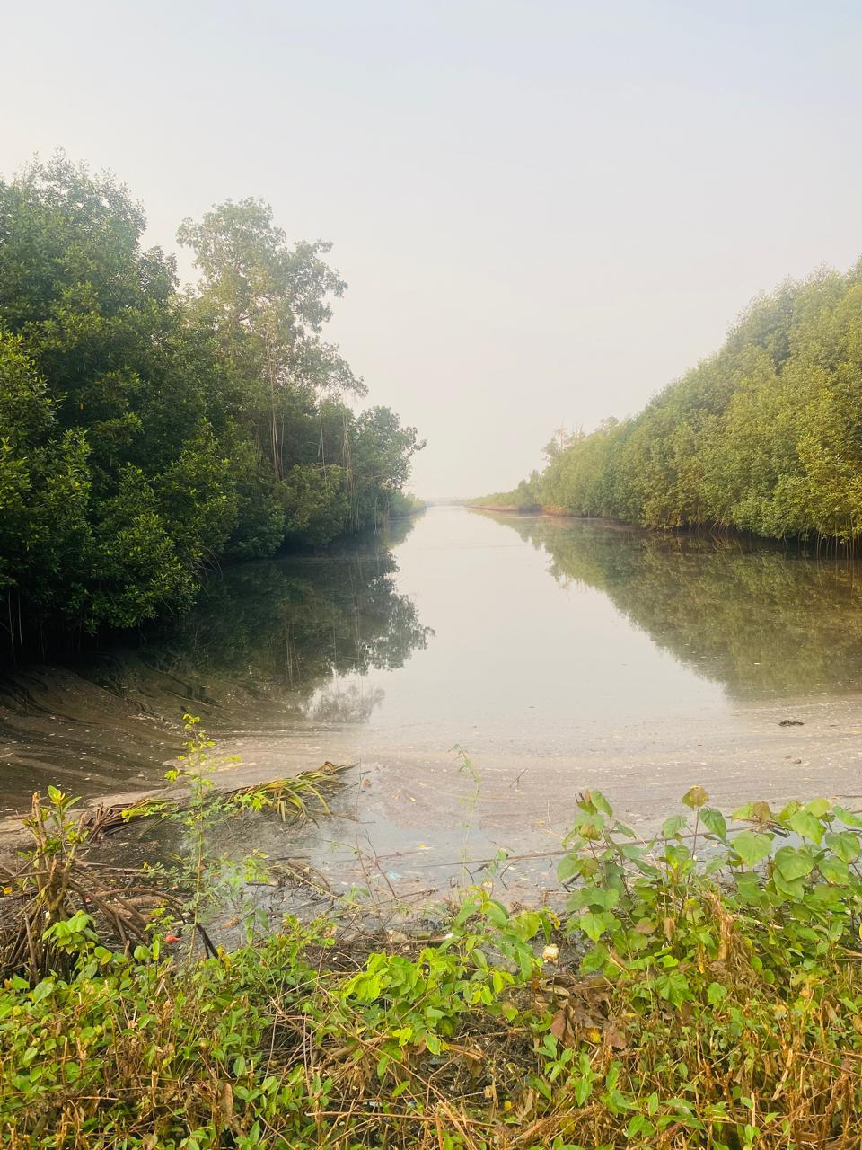 SERVIÇOS AMBIENTAIS